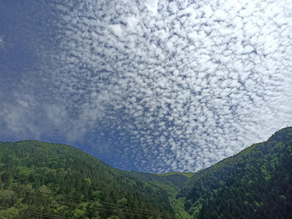 فندق اكبينار أوزونغول المظهر الخارجي الصورة